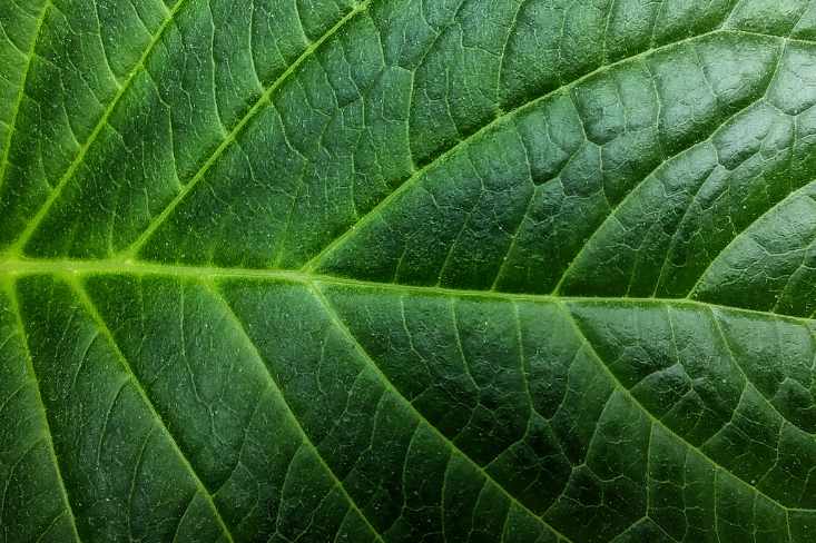 Sustentabilidade na Produção de Nonwoven