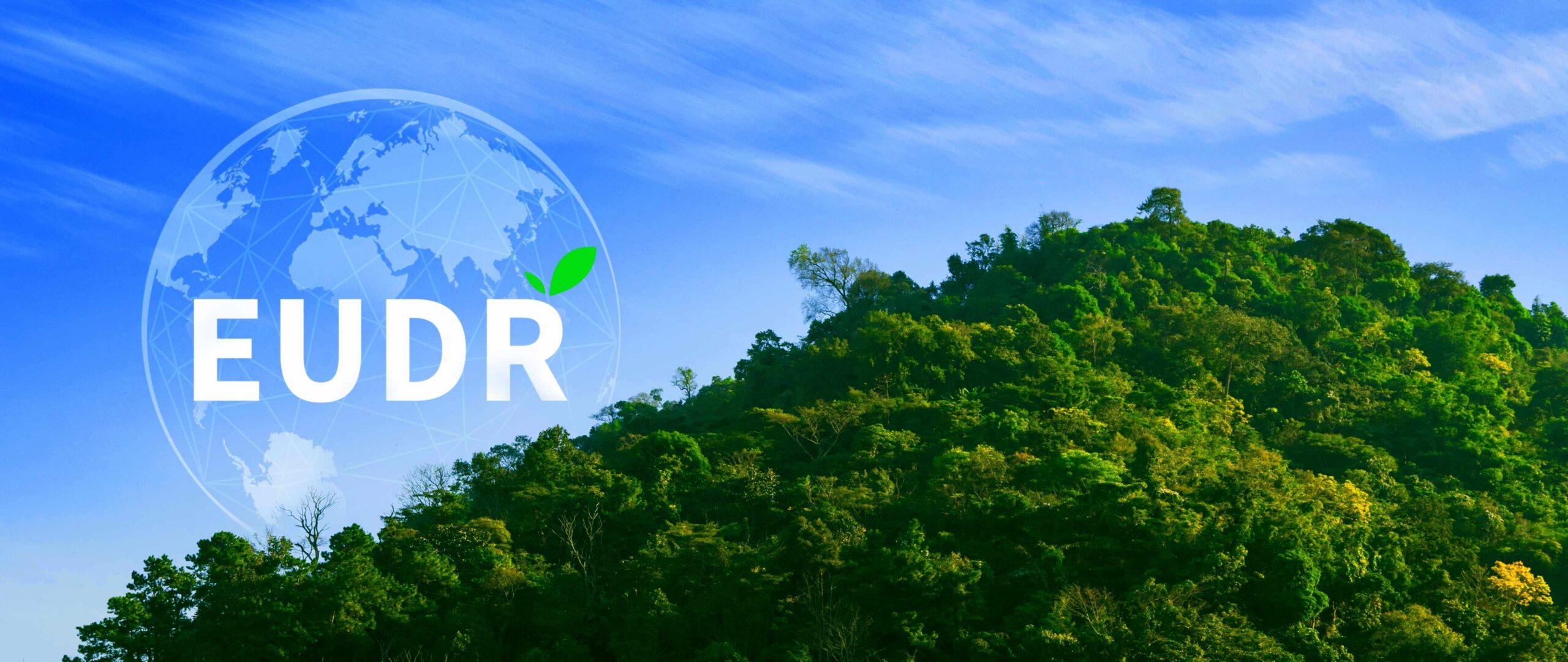 Certificações Europeias: O Que Significam para o Cliente